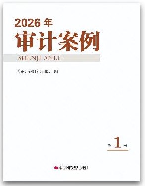 2026年审计案例