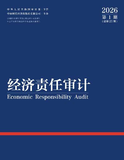 2025年经济责任审计