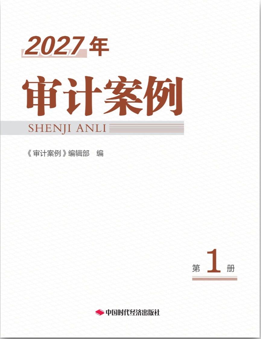 2026年审计案例
