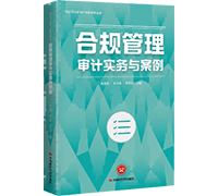 内部审计创新实践系列图书