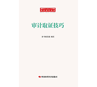 审计技巧系列图书