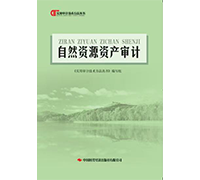 审计技术方法系列图书