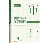 审计专业能力提升系列图书