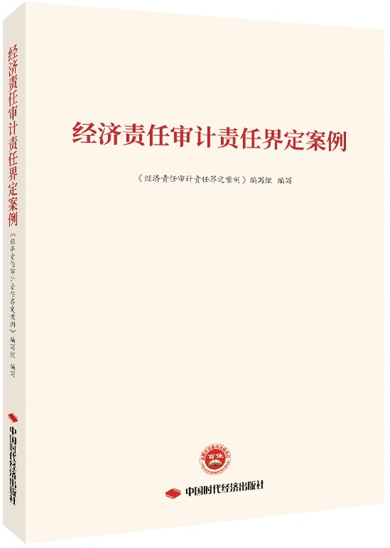 经济责任审计责任界定案例