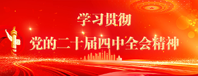 学习贯彻党的二十届四中全会精神